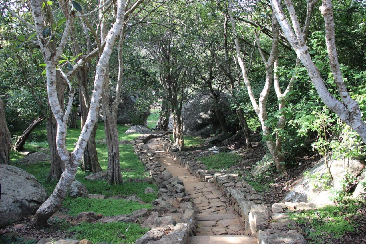 Miheen Hotel & Resort - Anuradhapura Mihintale Eksteriør bilde